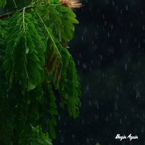 爽⋯好紧⋯别夹⋯喷水免费视频动漫
